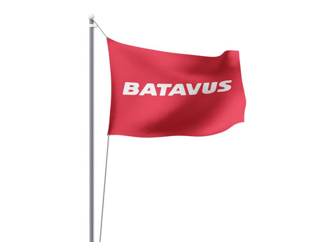 Batavus vlag 100x150