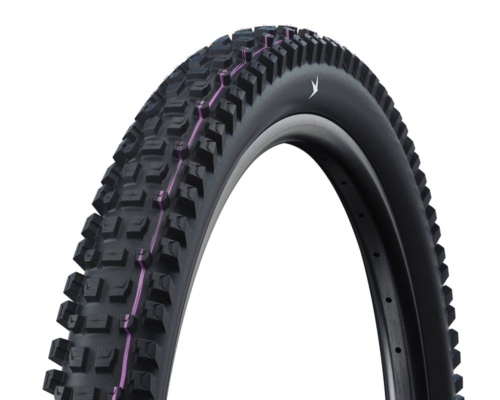 Schwalbe Albert Gravity Pro – TLR – Addix Soft – Radial – 29 x 2,50 – Schwarz