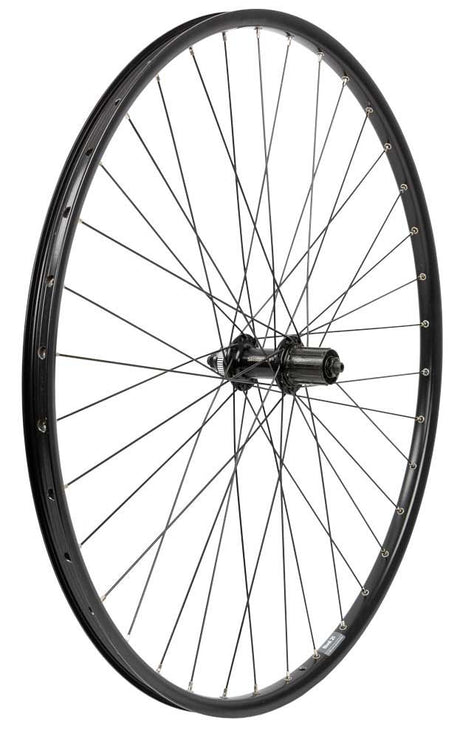 Roland Hinterrad 28 Ryde Rival21 Fhqc300