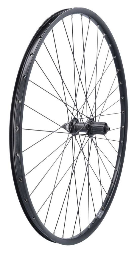Roland Hinterrad 28 Ryde Rival21 Shimano M5100 schwarz