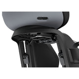 Yepp Thule Rücksitz Nexxt 2 Maxi Rahmenmontage grau