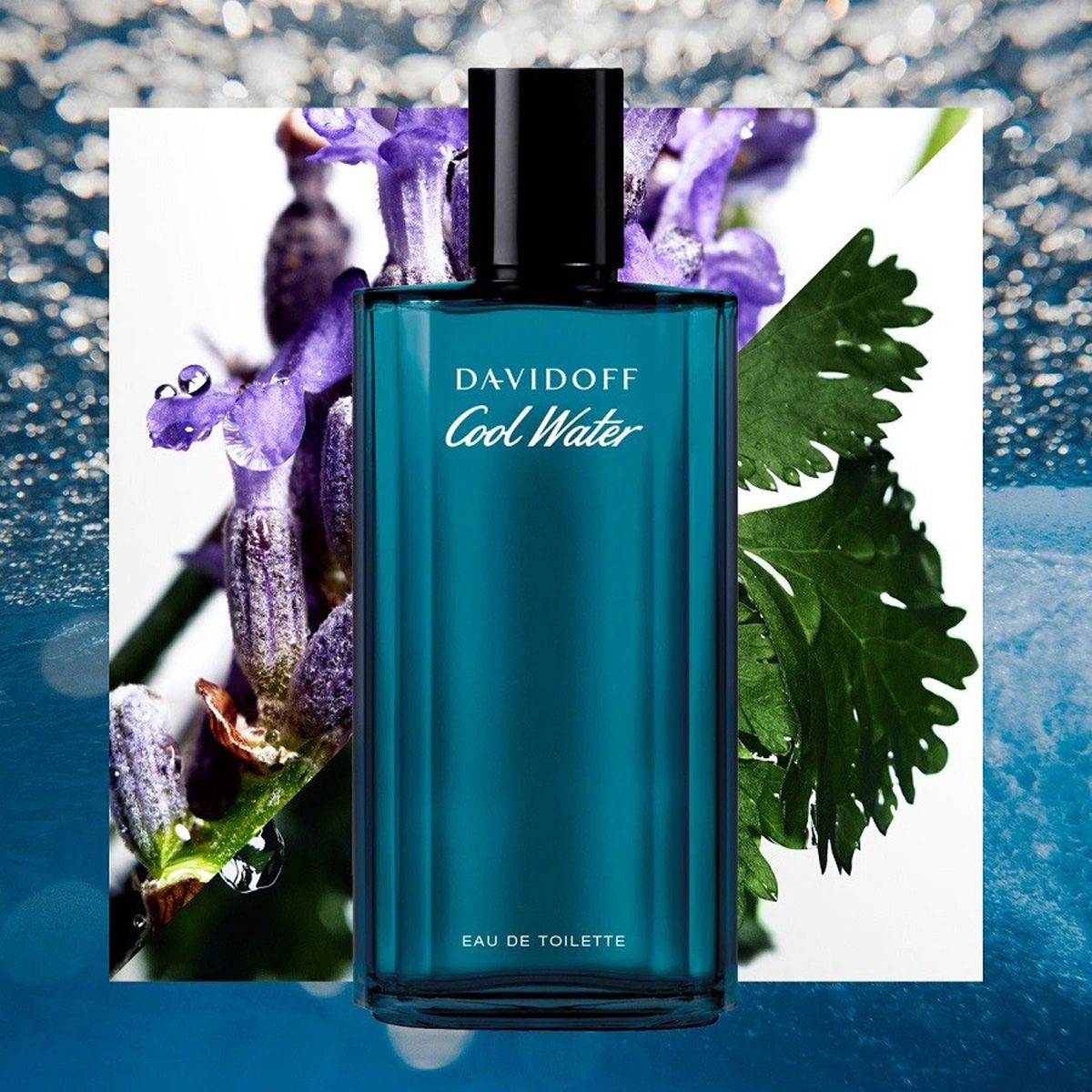 Davidoff Herren Eau de Toilette Spray Coolwater 75ml Herren