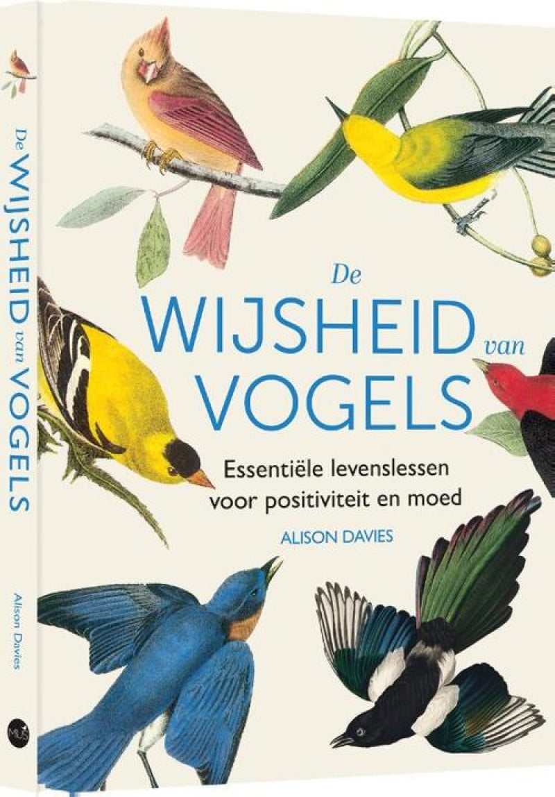 Spatz die Weisheit der Vögel
