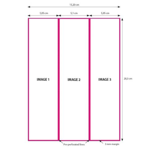 DNP Paper 2 Roll � 200 St. 15x20 perforado en 5x20 y 10x20 cm para DS620