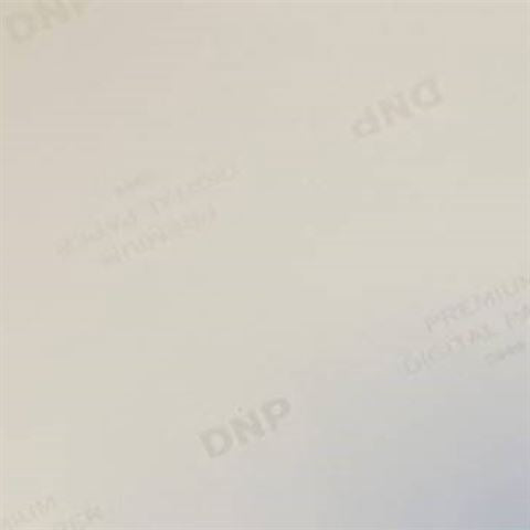 DNP Standardpapir DSRX1HS-4X6 2 Roll � 700 St. 10x15 for DS-Rx1HS