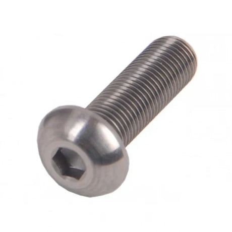 Roveba bolkop inbusbout m6 x 30 rvs (25) - 462630