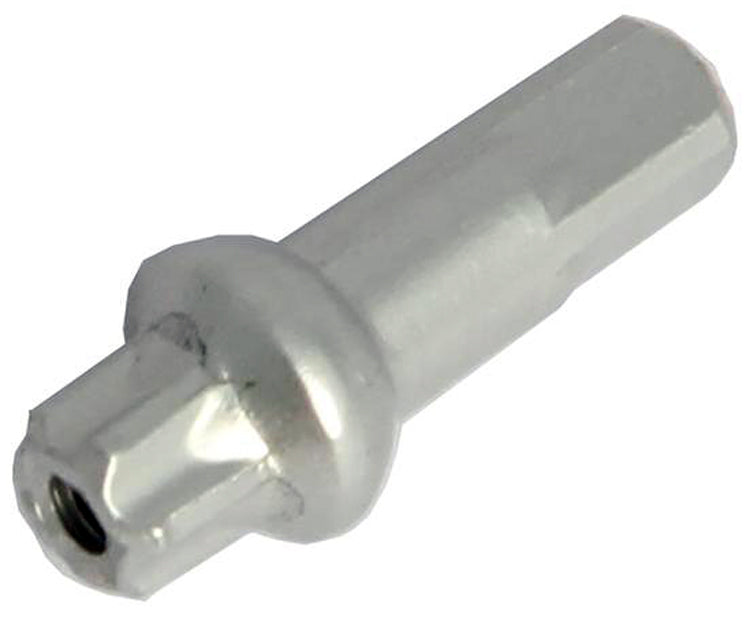 Dt Swiss Squorx Pro Head Messingnippel ø2,0 x 15 mm (100 Stück)