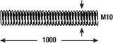 Connex-Gewindestange M10 1 m Edelstahl – dy250695