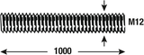 Connex-Gewindestange M12 1 m VZ - dy250705