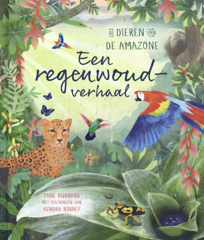 Lemniscaat eine Regenwaldgeschichte