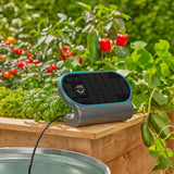 Gardena Aquabloom Set l