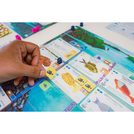 999Games 999 Games Finspan Brettspiel (niederländisch, 1 - 5 Spieler, 60 Minuten, ab 10 Jahren)