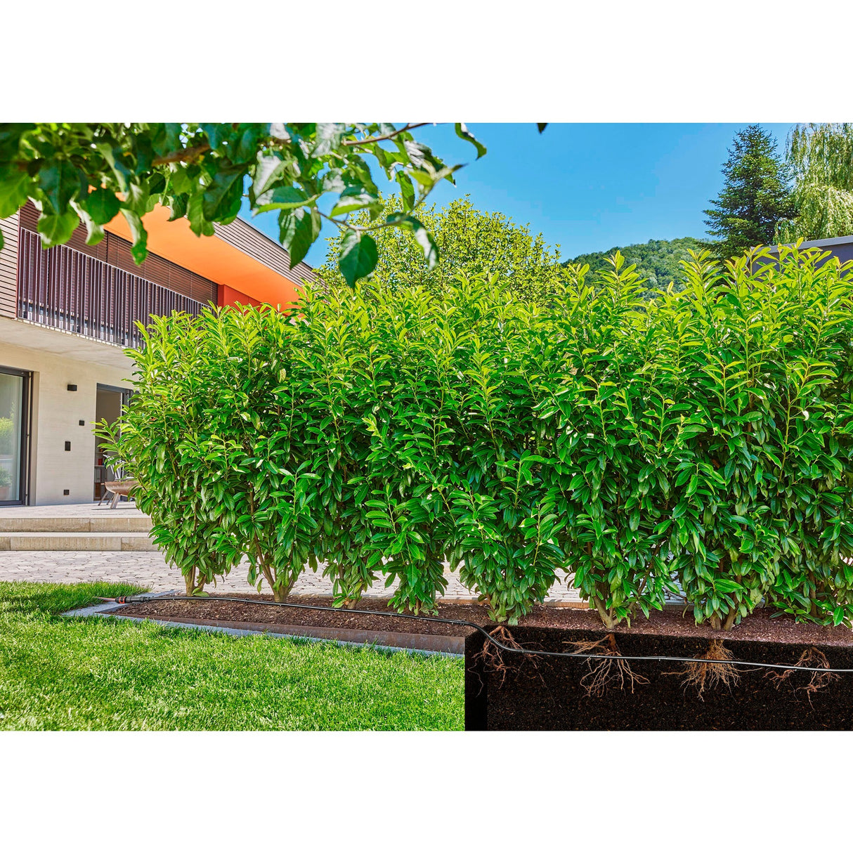 Gardena Drop Tube für Büsche Hecken (50 m)