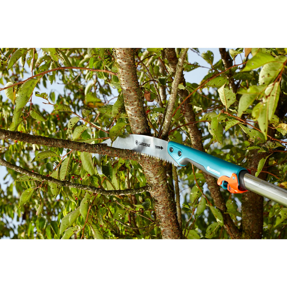 Gardena combisystem Astsäge 300 p gebogen (türkis, 8739-20)