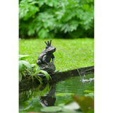 Ubbink Spray Figur Frog Queen