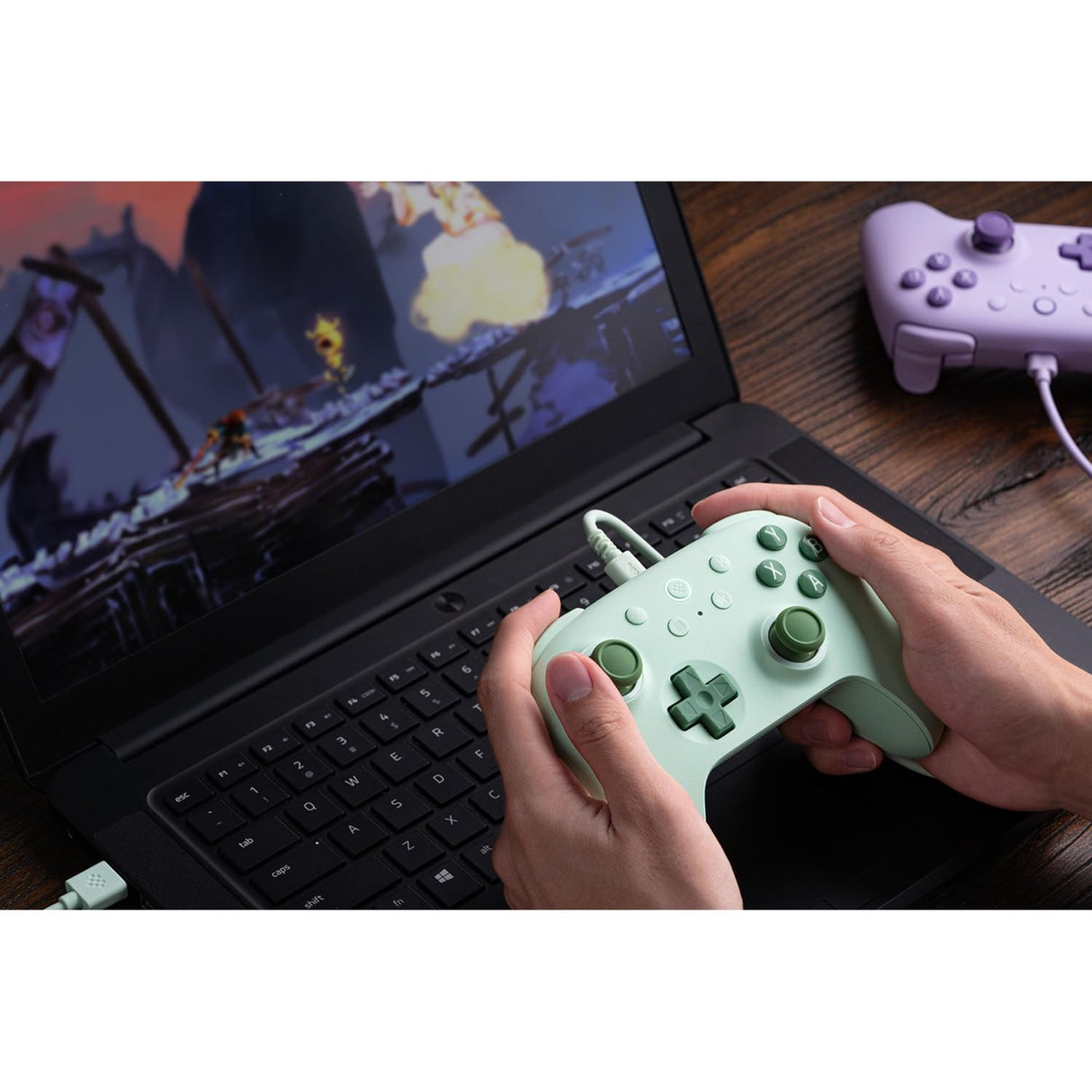 8bitdo Ultimate 2c kabelgebundenes Gamepad (grün)