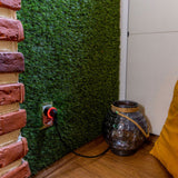 Shelly wave plug s lr (eu) stekkerdoos (zwart, z-wave)