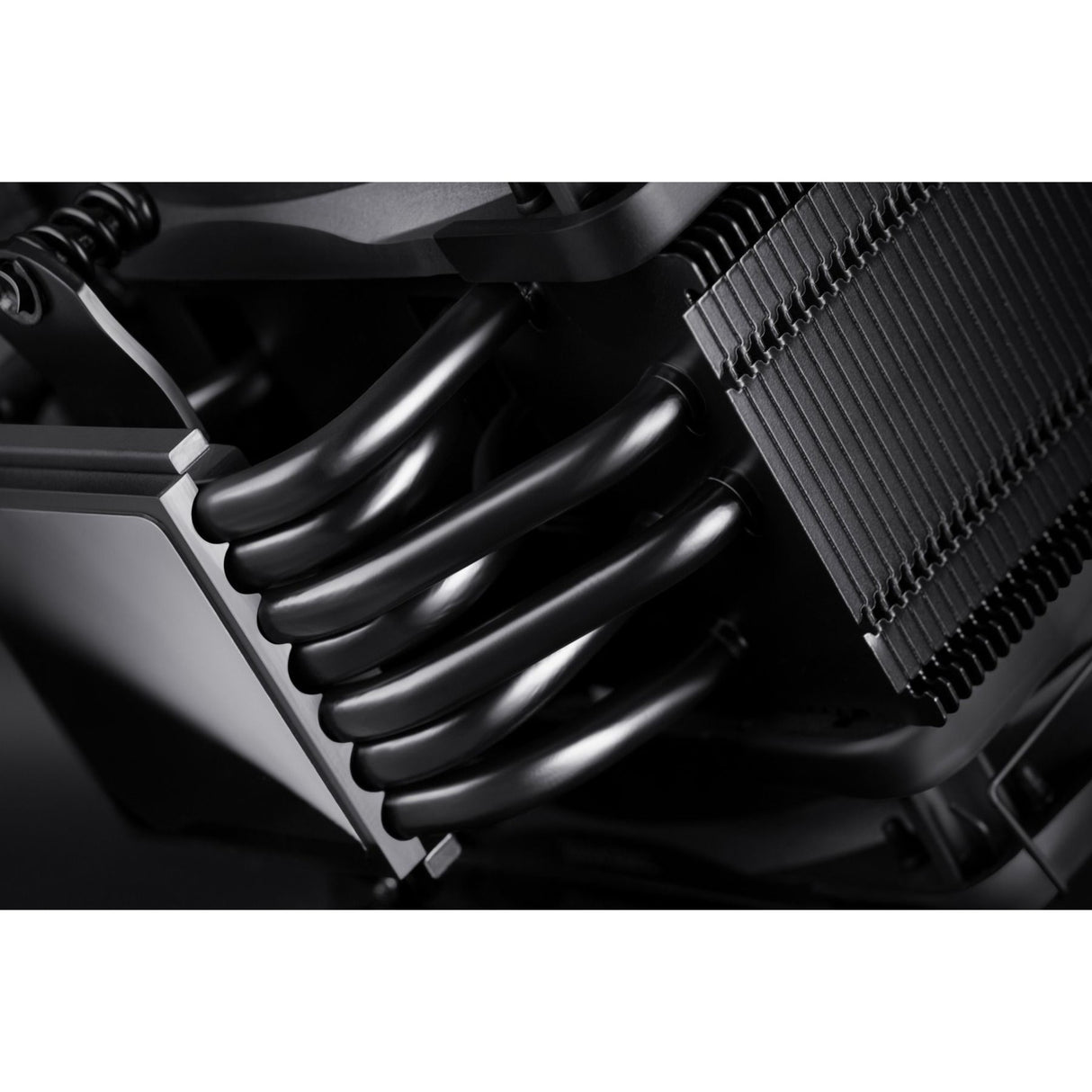 Noctua noctua nh-u12a chromax.black