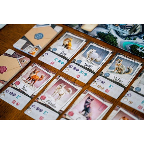 Europäisches Spielernetzwerk Das Fuchs-Experiment
