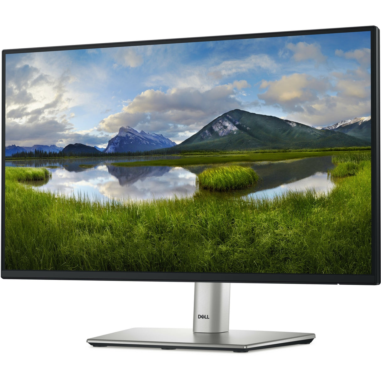 Dell p2225h 21,5 Monitor (Schwarz Silber, HDMI, Display Port, 3x USB-A, USB-B, USB-C)