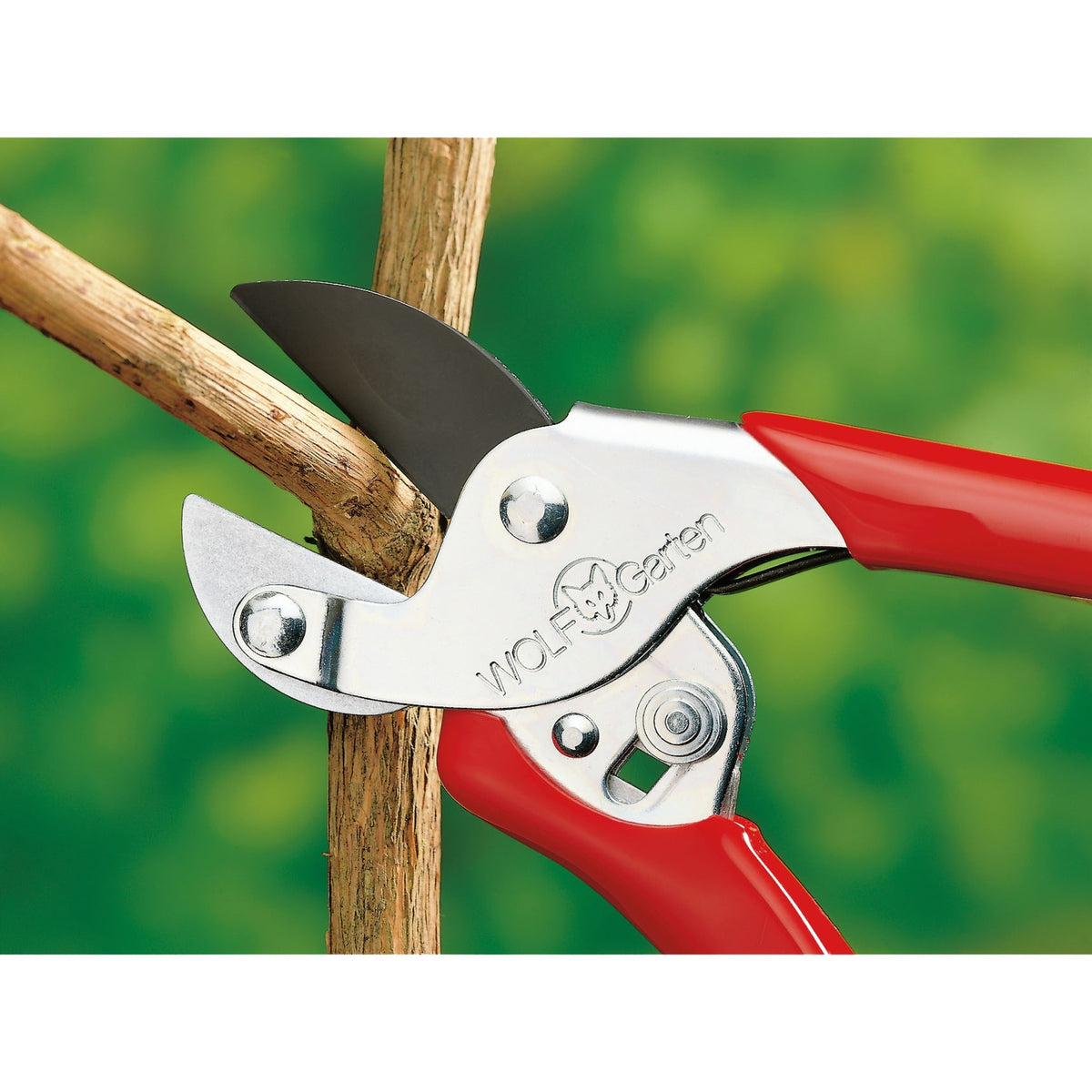 Wolf-garten Gartenschere RS-EN - Amboss - max. Schnittdurchmesser 19 mm - für Links- und Rechtshänder geeignet