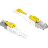 Delock Patch Cable S STP, RJ-45 mit Katze.6a sicher
