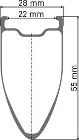 DT Swiss Arc 1100 Dicut® 55 28 Disc Cl Shimano HG Carbon Hinterrad