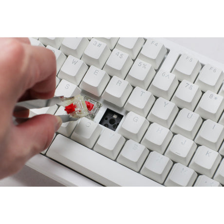 Ducky Zero 6108 reinweiße mechanische RGB-Gaming-Tastatur (weiß, US-Layout (QWERTY), Cherry MX2A rot, 100 %, RGB-LEDs, Double-Shot-PBT, Hot-Swap, 2,4 GHz | Bluetooth | USB-C)