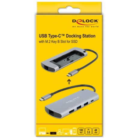 Delock USB Typ-C Dockingstation mit m.2 Slot (grau)
