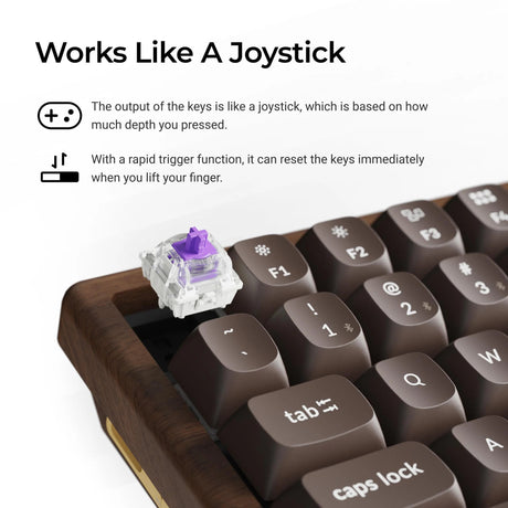 Keychron K2HE All-Wood Special Edition mechanische Tastatur (Holzfarbe, US-Layout (QWERTY), Gateron Double-Rail Magnetic Nebula, 75 %, Gateron Double-Rail Magnetic, OSA PBT Double-Shot, Hot Swap, Bluetooth 5.2 | USB-C)