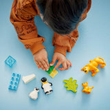 Lego Duplo 10442 Wildtierfamilien Pinguine und Löwen