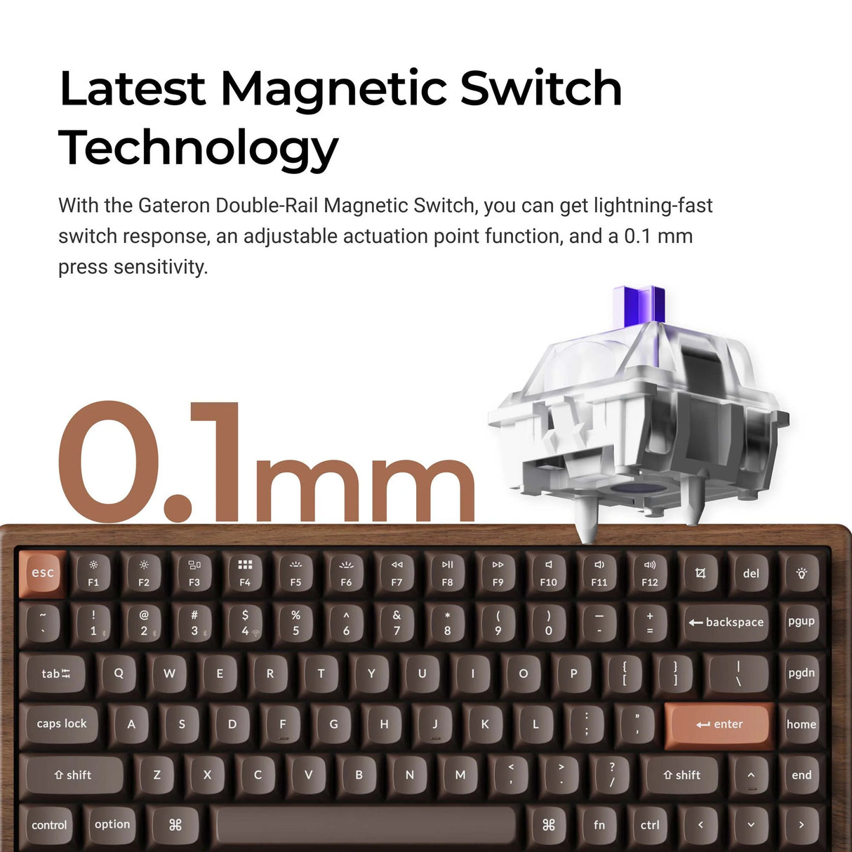 Keychron k2he all-wood special edition mechanisch toetsenbord (houtkleur, us lay-out (qwerty), gateron double-rail magnetic nebula, 75%, gateron double-rail magnetic, osa pbt double-shot, hot swap, bluetooth 5.2 | usb-c)