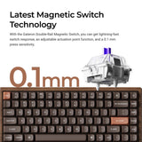 Keychron k2he all-wood special edition mechanisch toetsenbord (houtkleur, us lay-out (qwerty), gateron double-rail magnetic nebula, 75%, gateron double-rail magnetic, osa pbt double-shot, hot swap, bluetooth 5.2 | usb-c)