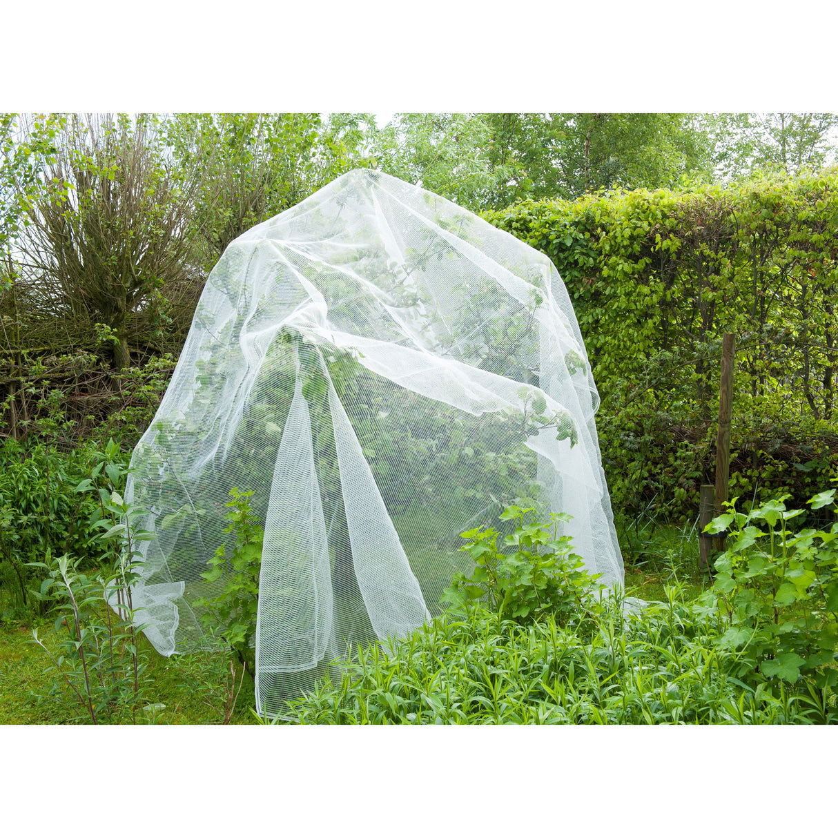 Nature anti-insectengaas insectenhor (wit transparant, 5.2 x 5 m)