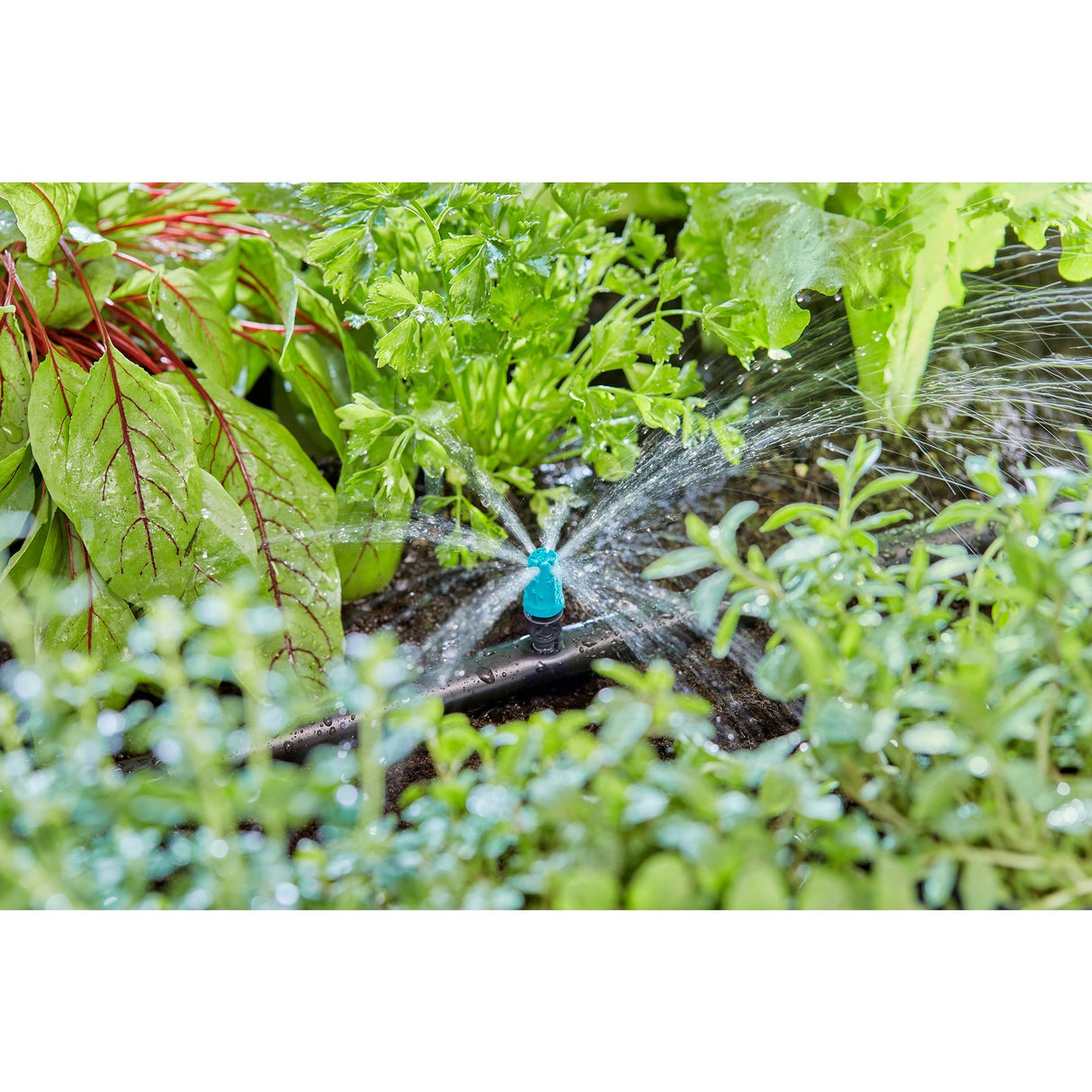 Gardena Sprayer für kleine Oberflächen