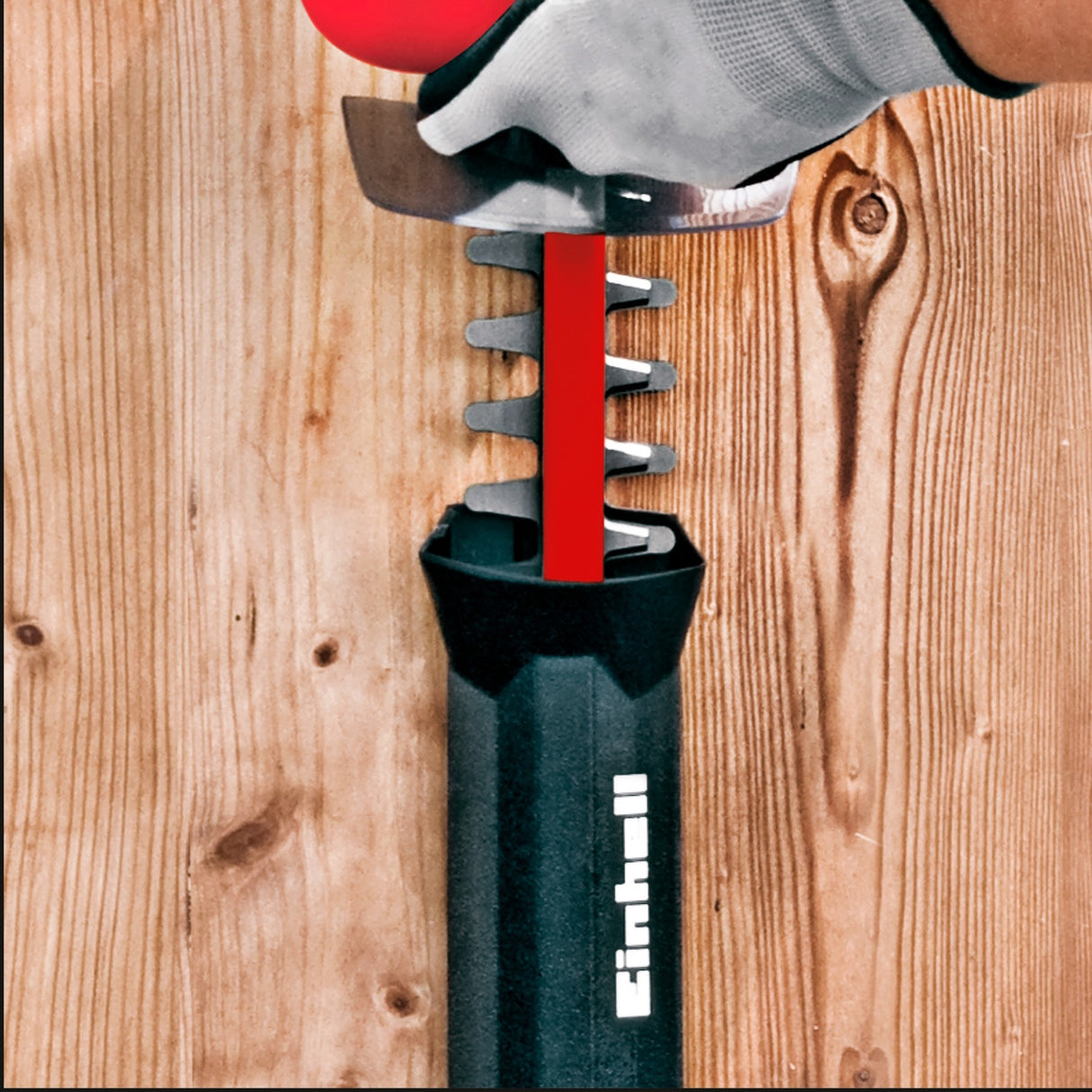 Einhell Hedge Trimmer GC-EH 6055 1