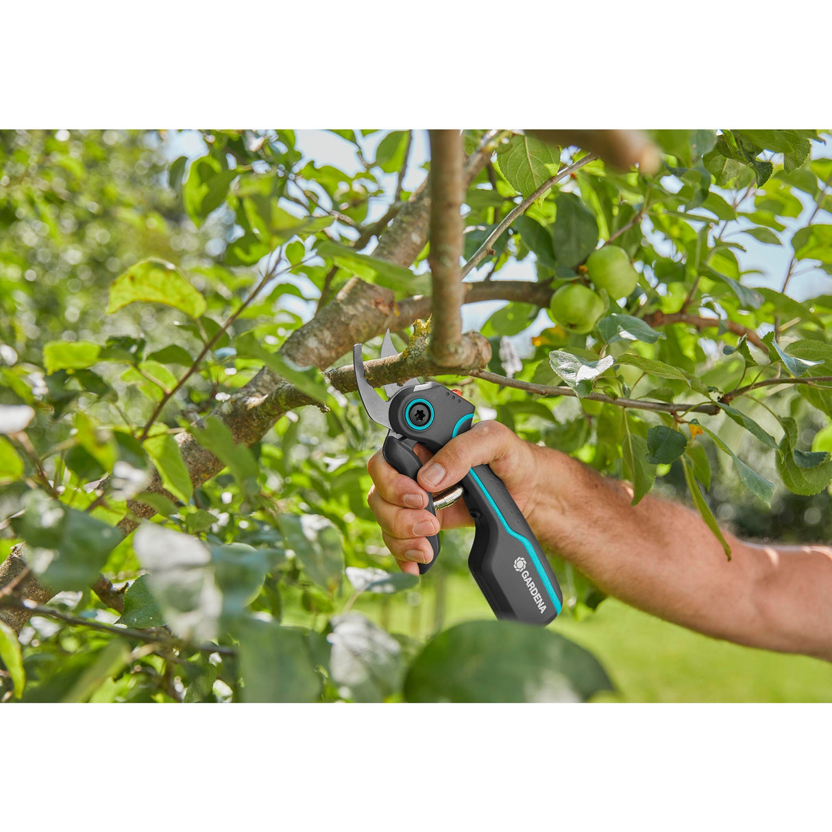 Gardena Gardena Schnellschere Assistcut