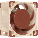Noctua nf-a4x20 flx Gehäuselüfter (40 x 40 x 20 mm)
