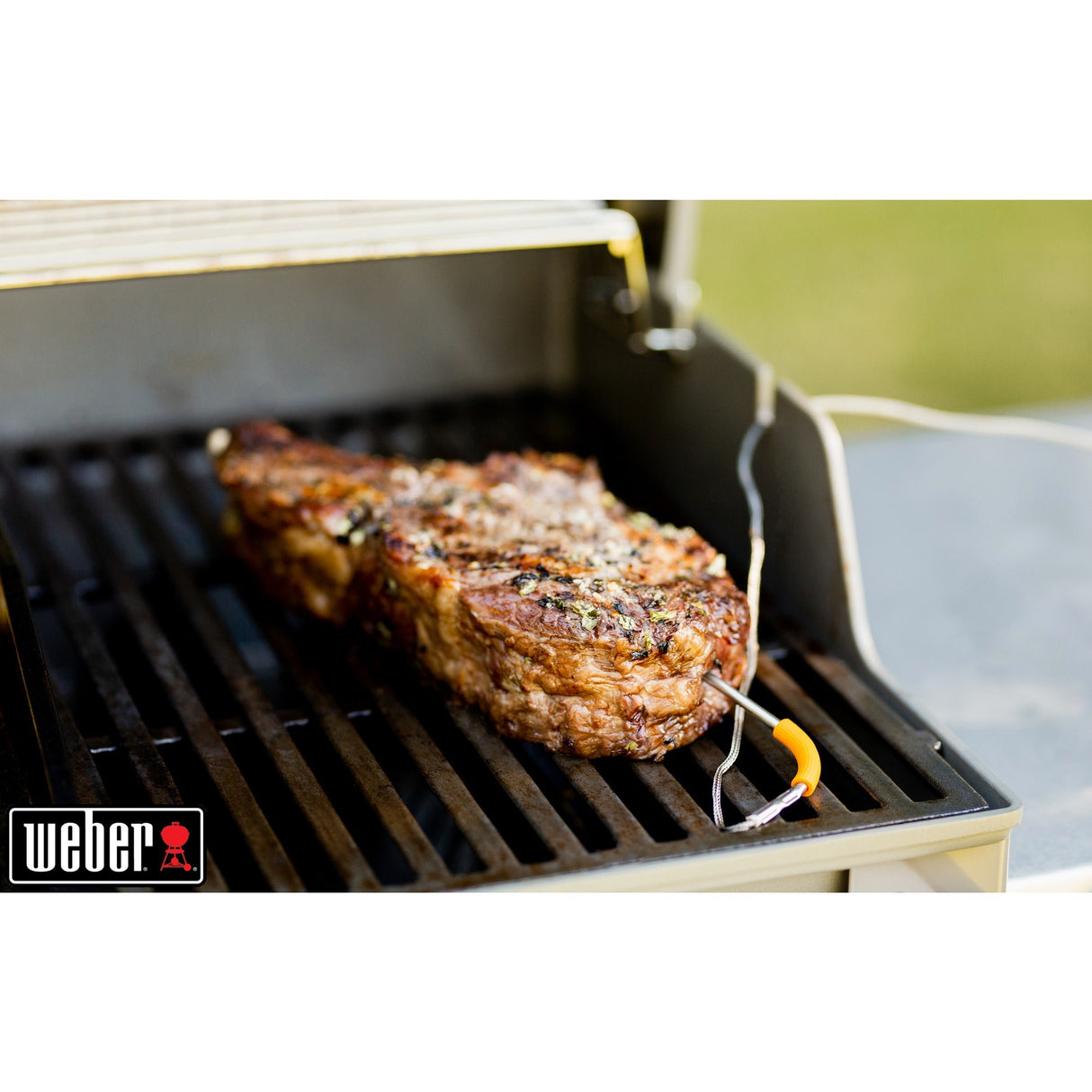Weber iGrill 2
