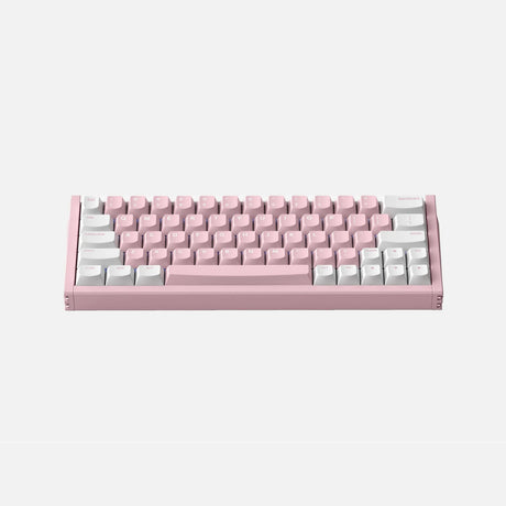 Iqunix EZ63 rosa Magnetschalter-Gaming-Tastatur (weiß, US-Layout (QWERTY), Gateron Jade Pro, 60 %, RGB, Double-Shot-PBT-Tastenkappen)