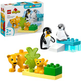 Lego Duplo 10442 Wildtierfamilien Pinguine und Löwen