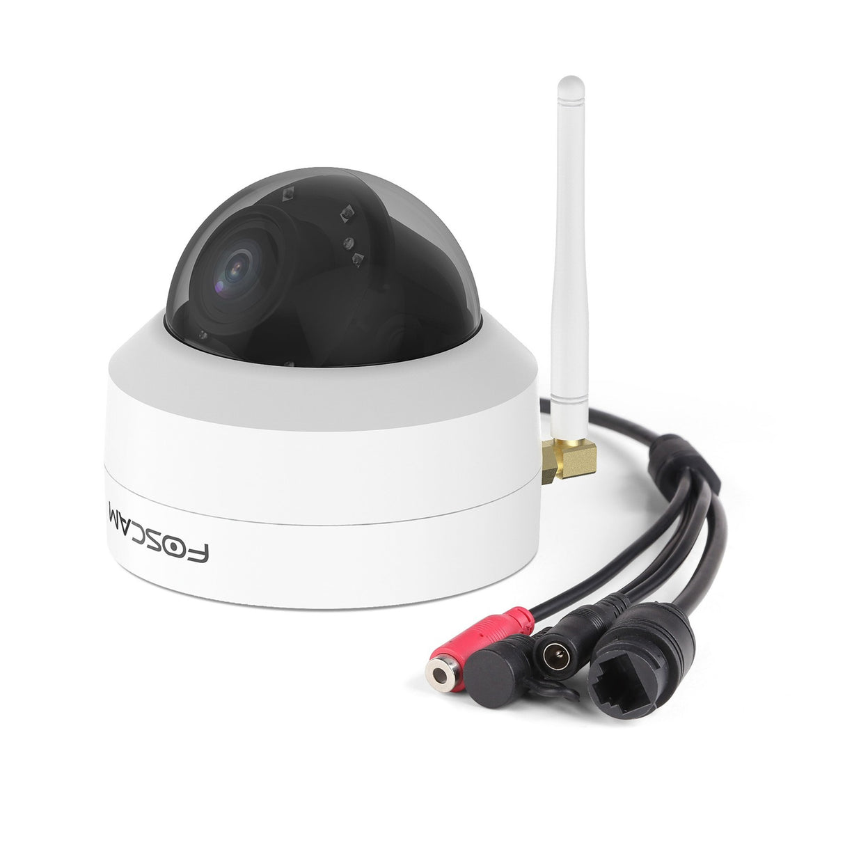 FOSCAM D4Z Dual Band WiFi PTZ
