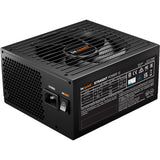 Ruhig sein! Gerade 12 Platin 750W