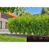 Gardena Mikro-Tropfbewässerung für Hecken, Sträucher, Set (50 m), Tropfer (schwarz)
