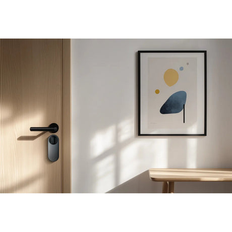 Aqara Smart Lock U200 Lite Kit elektronisches Türschloss (schwarz, Materie über Thread, Bluetooth 5.1, NFC)