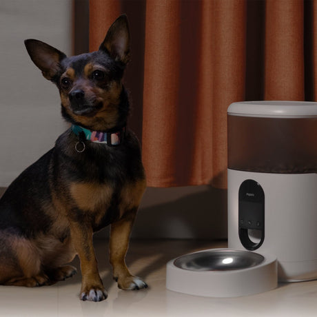Aqara Pet Feeder C1 Futterbehälter (weiß)