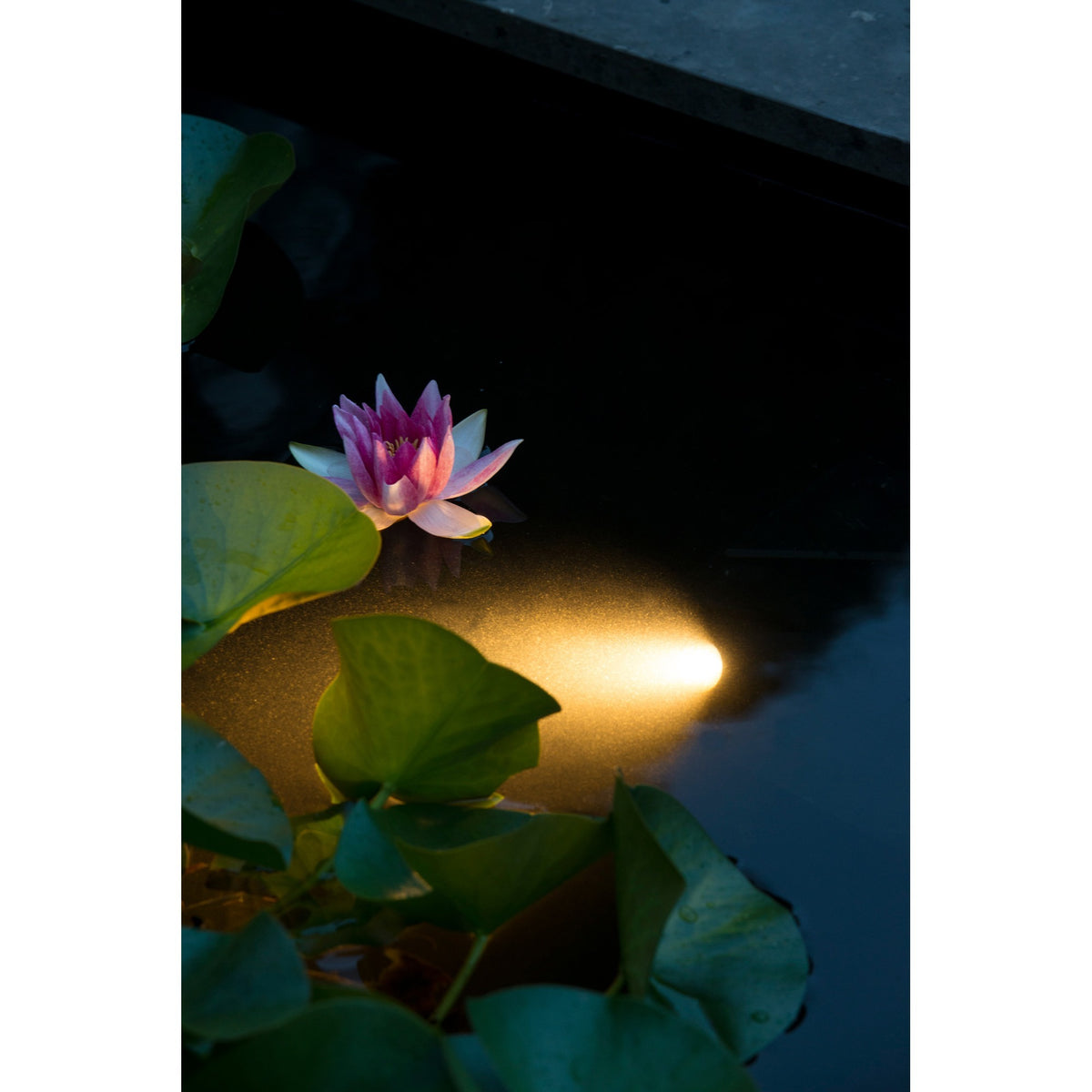 Ubbink Aquaspotlight Power LED Unterwasserbeleuchtung LED-Lampe (schwarz)
