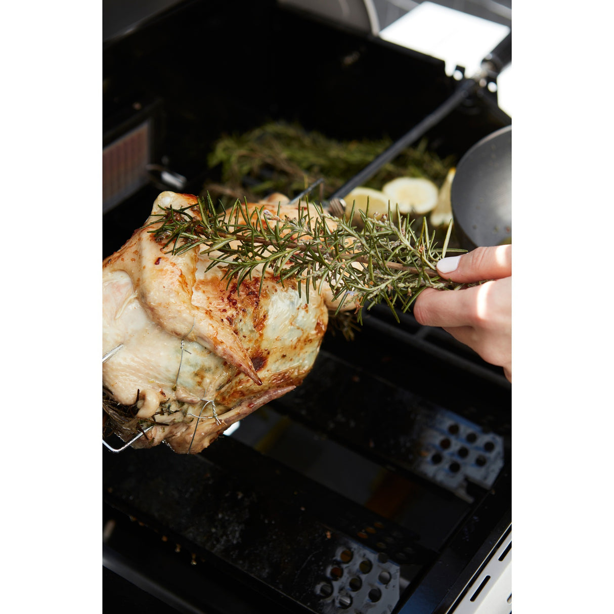 Barbecook Universal-Rotisserie-Spieß mit Motor für Magnus und Sies