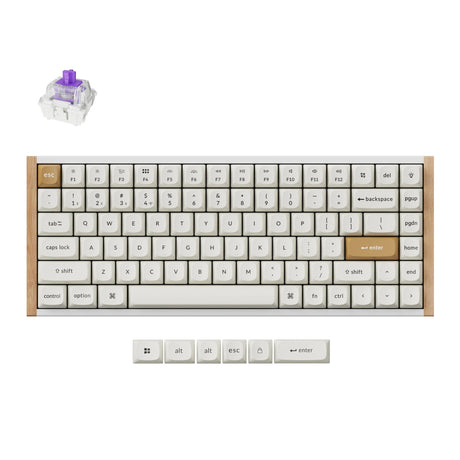 Keychron K2 HE-Q1 Special Edition RGB mechanische Tastatur (weiß, US-Layout (QWERTY), Gateron Double-Rail Magnetic Nebula, 75 %, RGB-LEDs, osa Double-Shot PBT, Hot Swap, 2,4 GHz | Bluetooth 5.2 | USB-C)