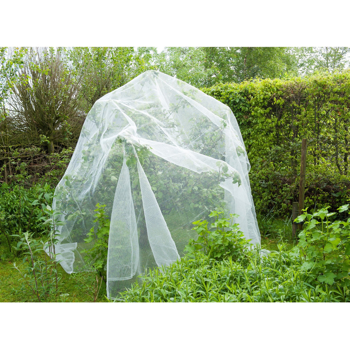 Naturesektennetz, feinmeshed
